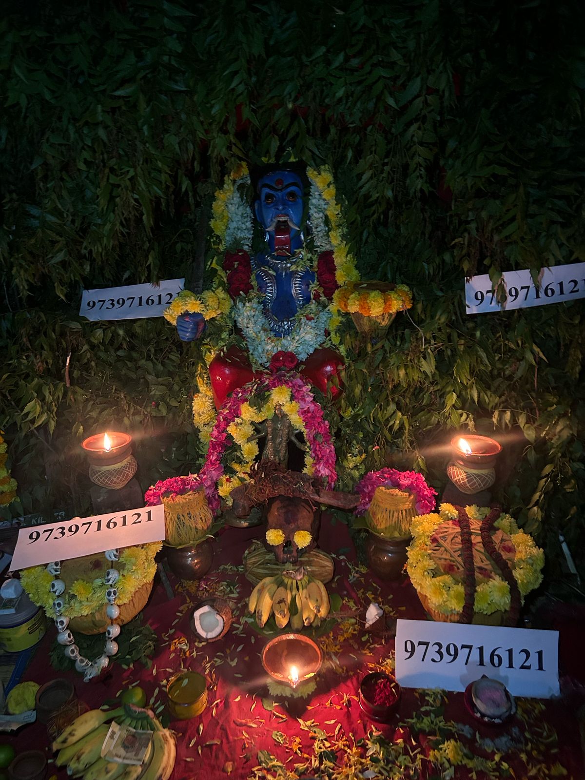 Astrologer Image