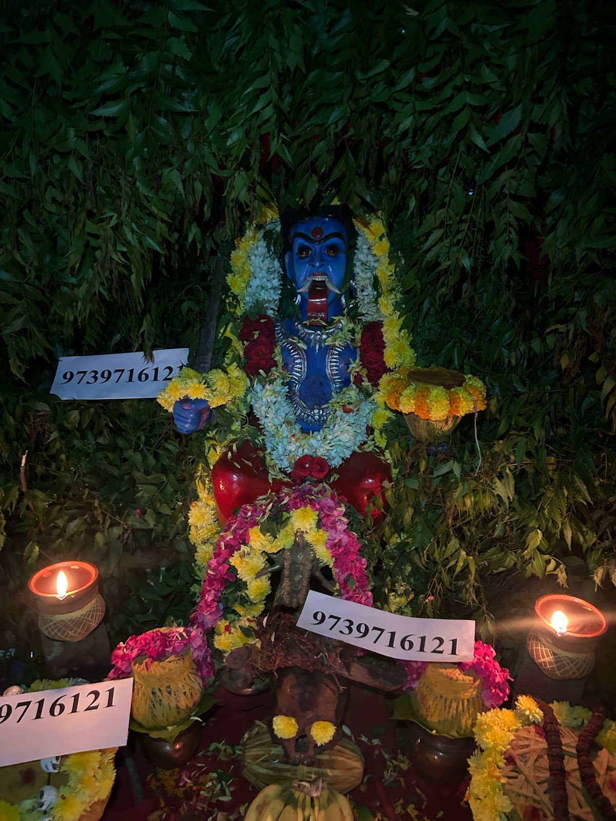 Astrologer Image