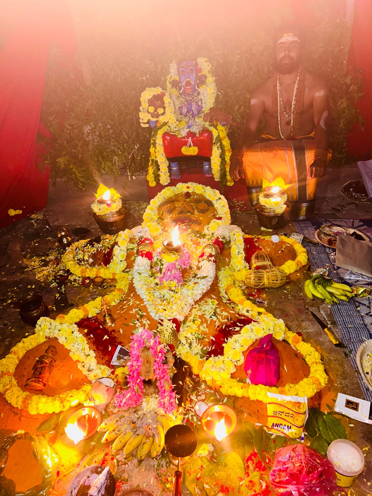 Astrologer Image